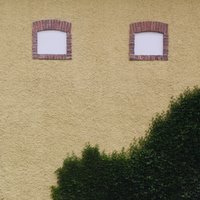 Wall and windows