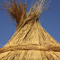 Straw roof