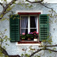 Window with flowers