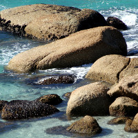 Rocks the shore